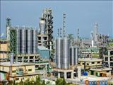 Иностранные компании заинтересованы в сотрудничестве с Ираном в специализированной нефтехимической сфере