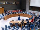 Совет Безопасности принял предложенную США резолюцию против йеменской группировки "Ансарулла"